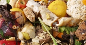 Image hover effect image