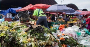 Image hover effect image