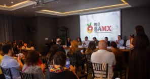 Image hover effect image